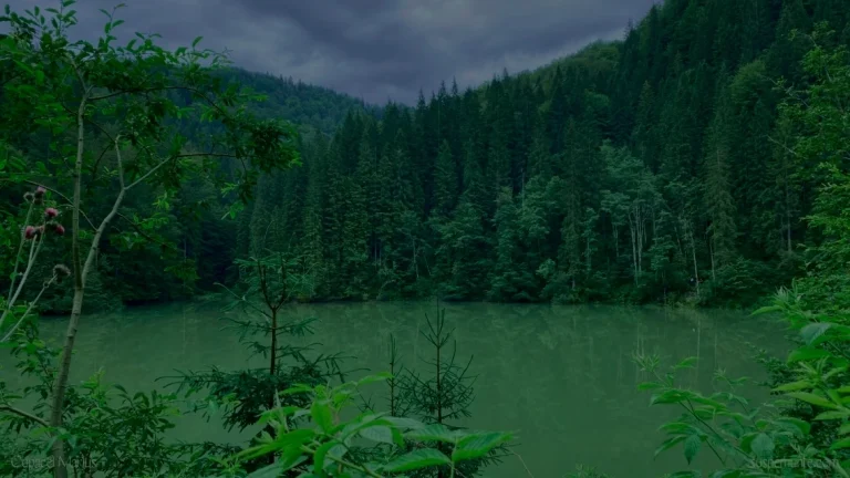 Parcul Natural Bucegi — informații despre trasee și regulamente.