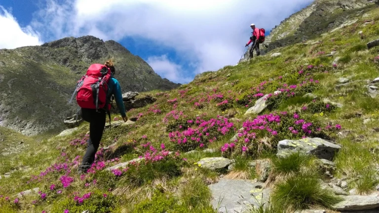 Trasee montane în Munții Făgăraș – Harta drumețiilor pentru toate nivelurile de dificultate Trasee montane în Munții Făgăraș – Harta drumețiilor pentru toate nivelurile de dificultate