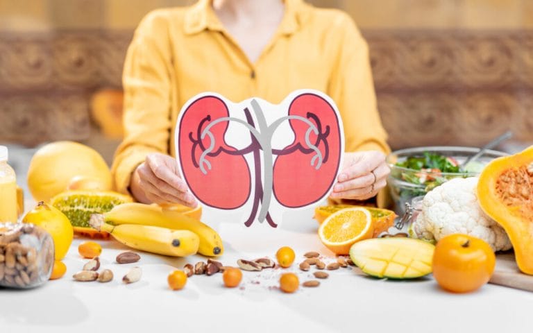 Human kidneys model and variety of healthy fresh food