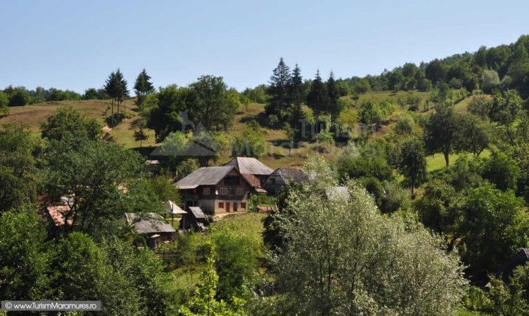 Valea Marei