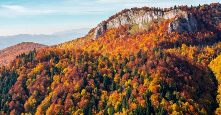 Observarea faunei în Carpații Orientali – unde și când Observarea faunei în Carpații Orientali – unde și când
