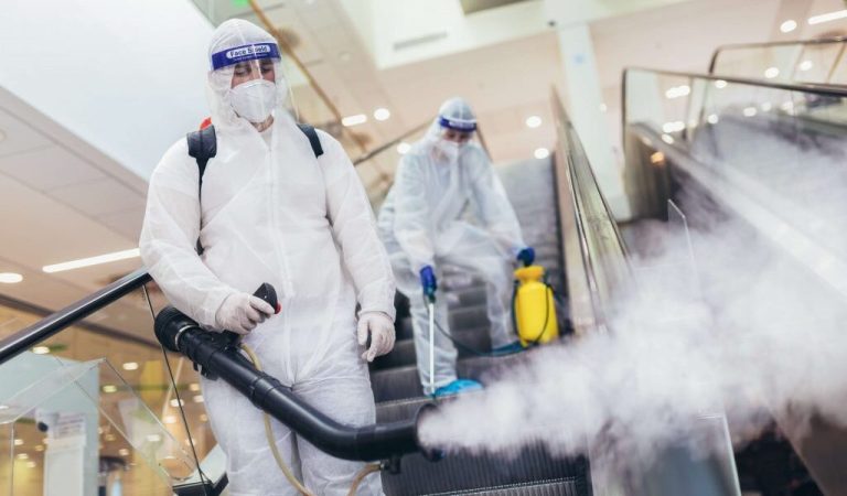 Dezinsecție Profesională – Soluții Eficiente pentru Eliminarea Insectelor 10